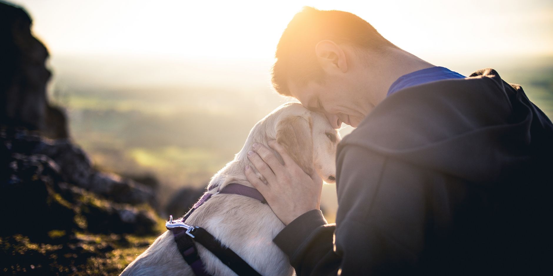 In vacanza con il cane